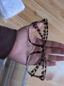 Stylish Leopard Print Glasses with Case