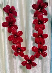 Red Floral Dupatta