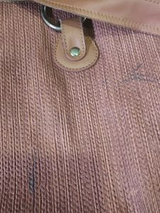 Baggit Handbag