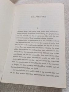The Runner by Peter May original book