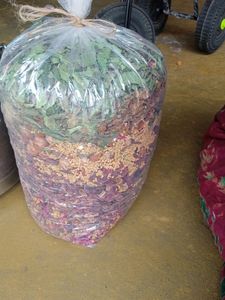 Homemade Shampoo Powder