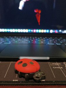 Kinder Joy toys ladybird toy