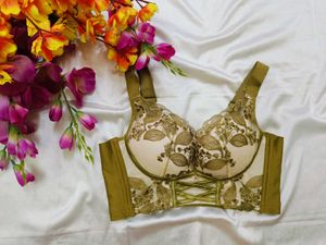 🇳🇿💫🎀Elegant Embroidered Bra