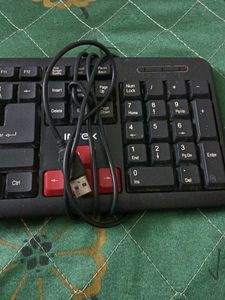 Intex USB Keyboard