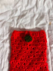 Handmade Crochet Phone Pouch