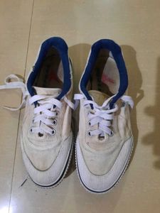 White Canvas Sneakers with Blue Trim