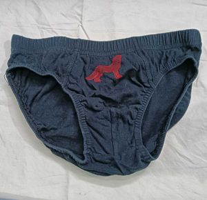 Men's Blue💛 Briefs with Wolf Logo