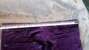 Purple Velvet Pants