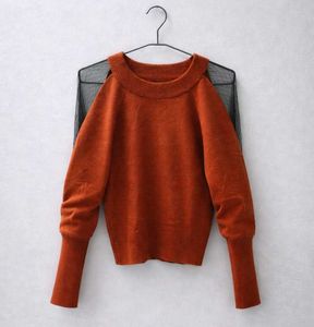 Chic Sheer Sleeve Knit Sweater (New)