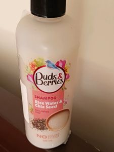 Buds & berries Branded shampoo