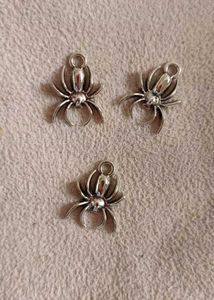 Silver Charms (18rs Each)