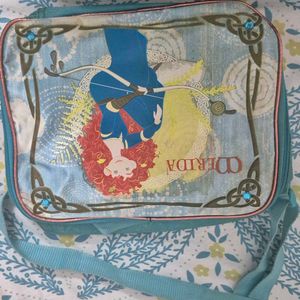 Combo of lunch bag and sling bags