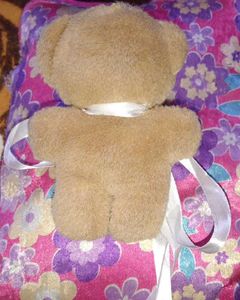 Cute Plush Teddy Bear