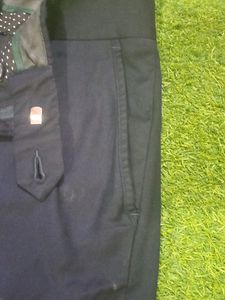 Pant
