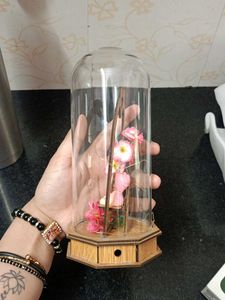 SHOWPIECE Enchanting "I Love You" Dome Display