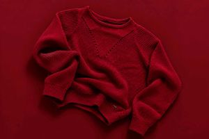 DEEP RED TEXTURED KNIT SWEATER