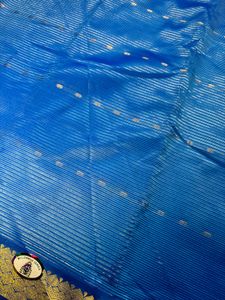 Stunning Blue Silk Saree with Gold Border