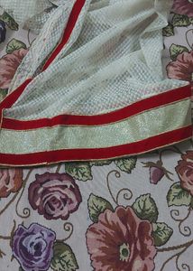 Gorgeous Red Lehenga Choli