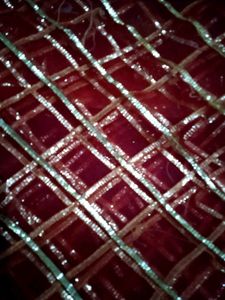 Embellished chunar & 5m saree fabric