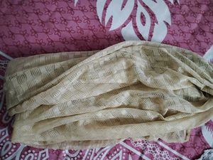 134.Elegant Beige Net Dupatta