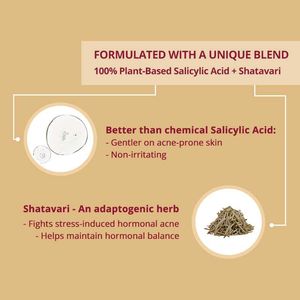 CARMESI Soothing Moisturizer for Hormonal Acne