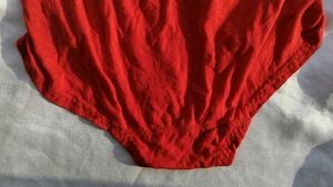 Lace Trim Red Briefs