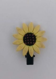 Cute Hair Pins Set
