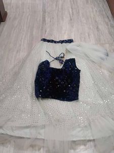Crop Top With Full Flair Skirt