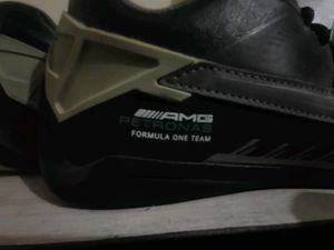 Puma Mercedes AMG Petronas F1 Drift Cat