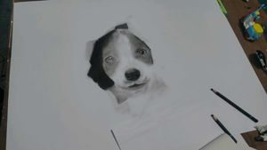 Cute Puppy Pencil Sketch
