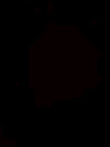 Test T5