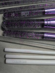 Makeup Brush Set - Variety of Brushes