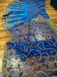 Beautiful Blue Embroidered lehanga  Saree