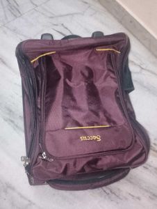 Saccus Rolling Travel Bag