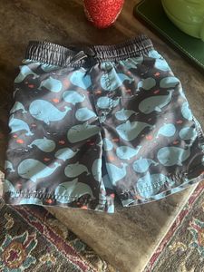 carter's USA Swimming trunks