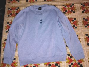 Max light blue embroidered sweatshirt