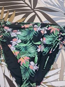 combo Of Three  Premium  padded  panty