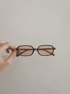 Retro Tinted Sunglasses
