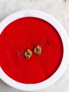 Beautiful New Ring Type Earrings Small