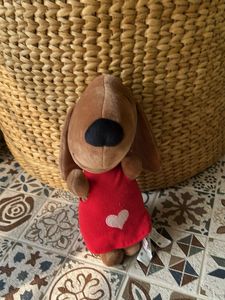 Cute Floppy Brown Dog