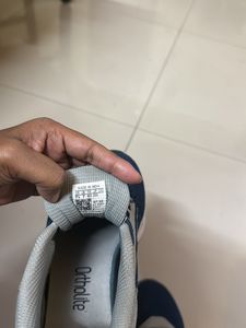 Adidas Ortholite Sneakers For Sale