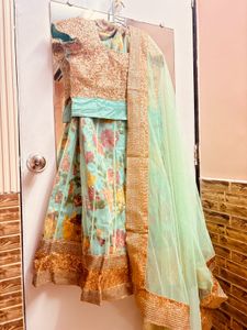 Pastel green lehenga with golden sequin blouse
