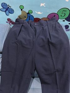 Navy Blue Pleated Trousers
