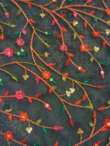 Royal kashmiri thread and sequence work duptta