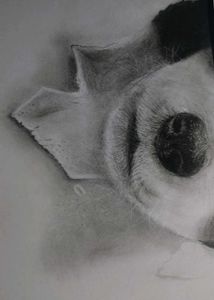 Cute Puppy Pencil Sketch