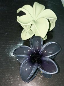 Beautiful Flower Hair Clips (Set of 2)