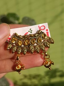 Beautiful Golden Earnings