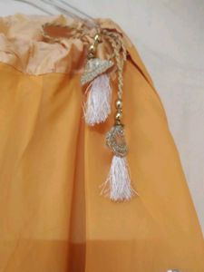 beautiful Indo Western lehenga