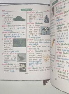 Picture Dictionary
