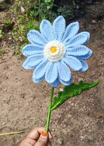 Gerbera flower